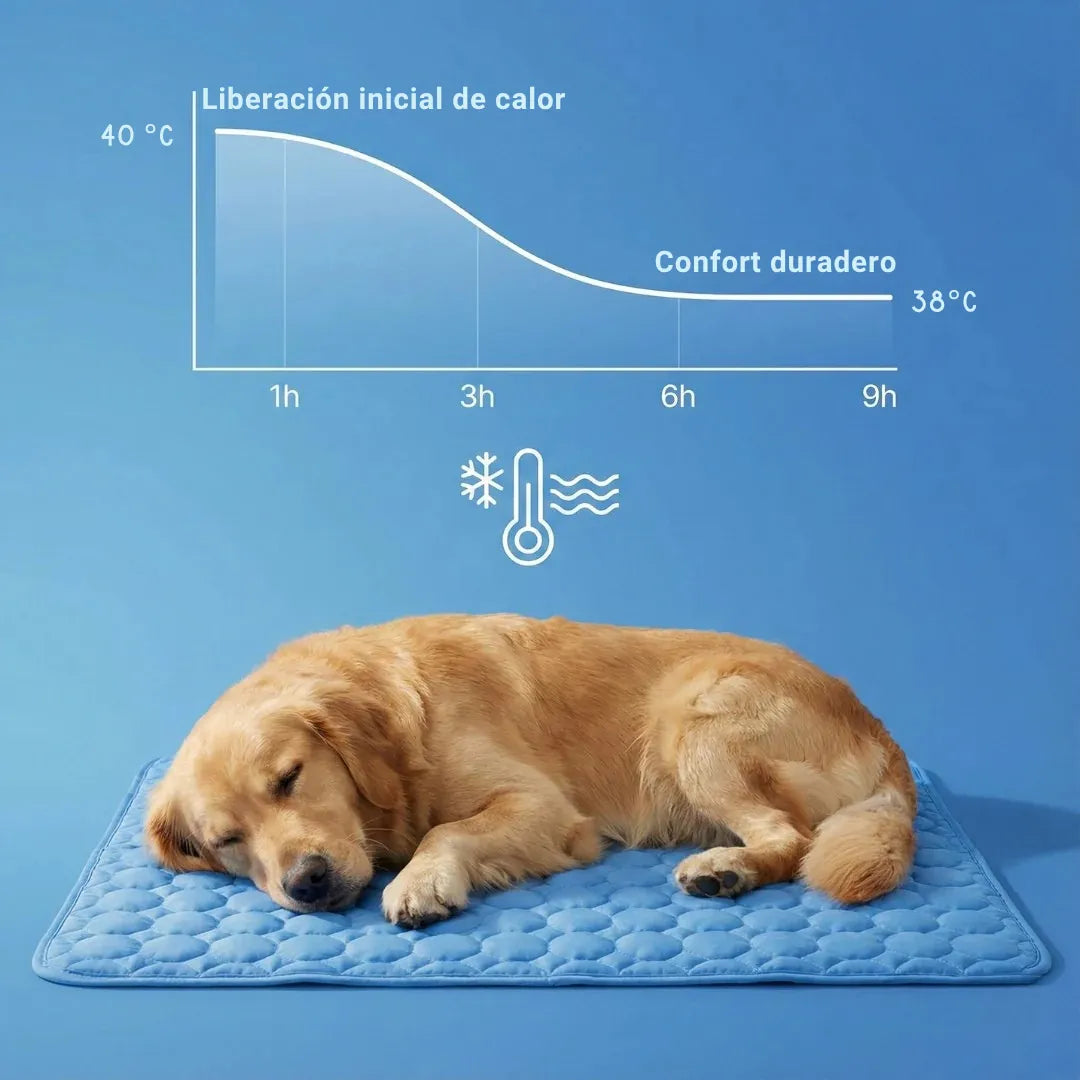 🥵 ¿40 °C? Dale a tu mascota un lugar fresco para descansar con Freshpet™
