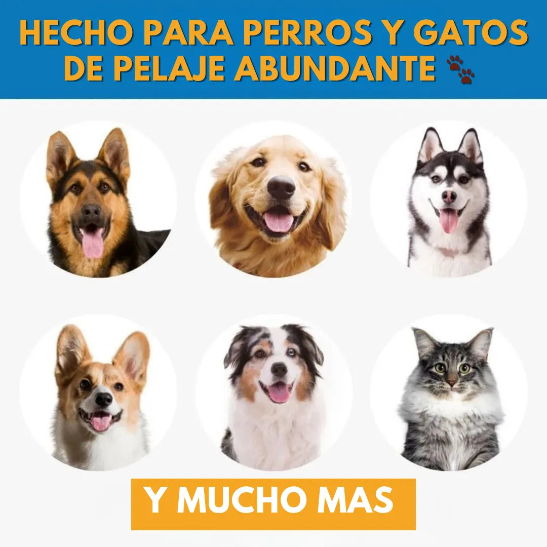 Manten tu casa limpia de pelos y a tus mascotas felices con PetBrush