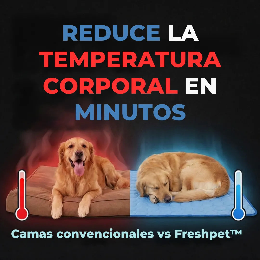 🥵 ¿40 °C? Dale a tu mascota un lugar fresco para descansar con Freshpet™