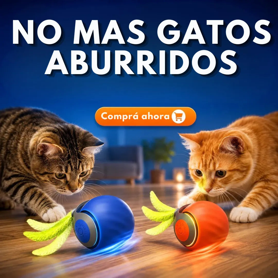 FelixFeliz™ El mejor Juguete Interactivo para gatos