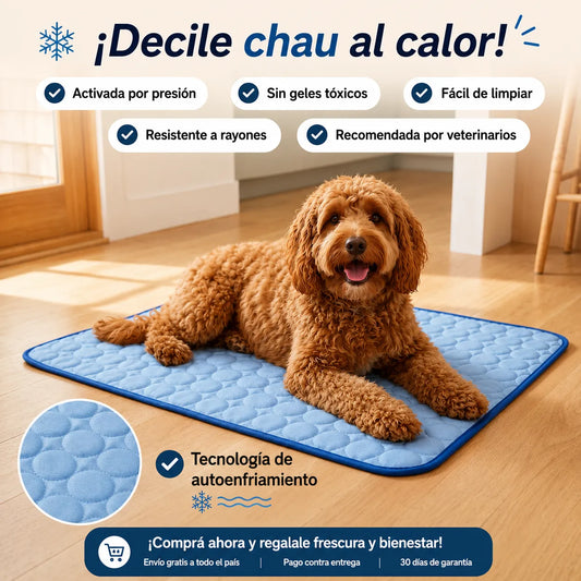 🥵 ¿40 °C? Dale a tu mascota un lugar fresco para descansar con Freshpet™