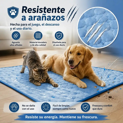🥵 ¿40 °C? Dale a tu mascota un lugar fresco para descansar con Freshpet™